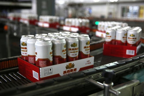 餐桌上的食品安全無小事 走進沈陽綠色工廠，探訪神秘的啤酒酵母生產線